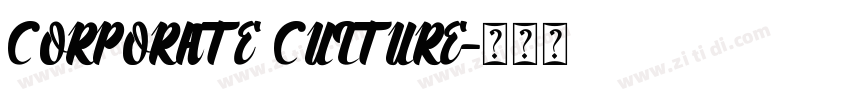 CORPORATE CULTURE字体转换
